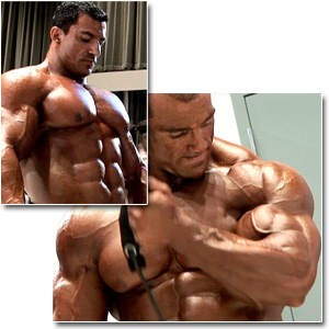 2009 IFBB PBW Tampa Pro Championships