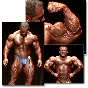 2010 IFBB PBW Tampa Pro Championships