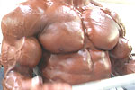 2001 NPC Nationals Men’s Pump Room Part 2